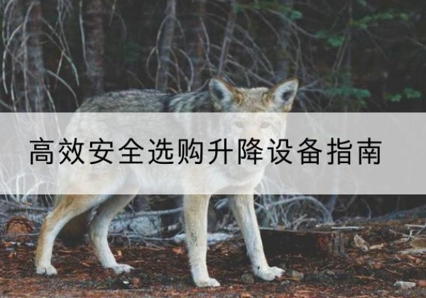 芦淞升降货梯厂家推荐-*安全选购升降设备指南