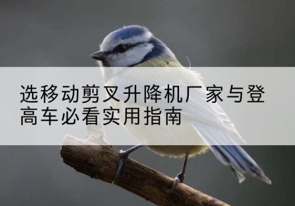 芦淞电动升降机厂家-选移动剪叉升降机厂家与登高车必看实用指南