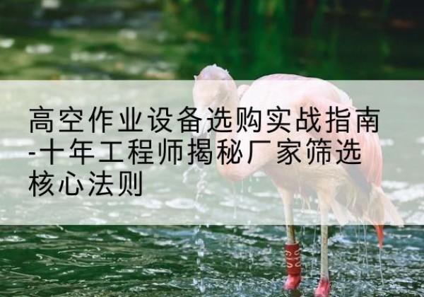 芦淞剪叉式升降机厂家-高空作业设备选购实战指南-十年工程师揭秘厂家筛选核心法则