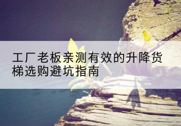 芦淞升降货梯怎么选-工厂老板亲测有效的升降货梯选购避坑指南