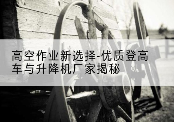芦淞登高车厂家-高空作业新选择-优质登高车与升降机厂家揭秘